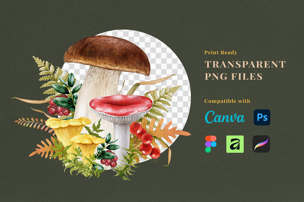 Fall Mushrooms Watercolor Clipart, a Seasonal Illustration by AnitaPol (Photo 10 of 20)