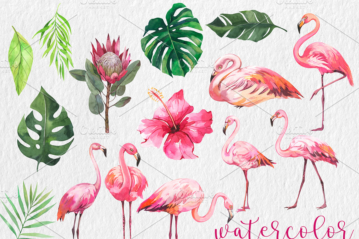 Watercolor Tropical BIG BUNDLE PNG, a Seasonal Illustration by PatternPalette (Photo 7 of 15)