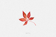 Watercolor fall leaves, an Illustration by DigitalDream (Thumbnail 3 of 5)