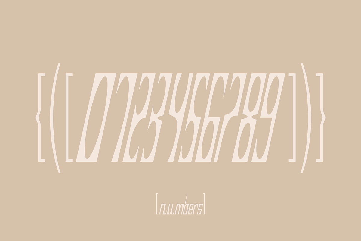 SK Coisa — Decorative Slanted Font, a Font by Shriftovik Type Foundry (Photo 6 of 8)