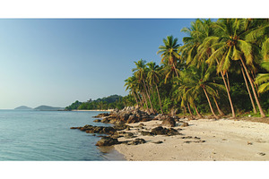 Tropical beach with coconut palm, a Nature Photo by Goinyk