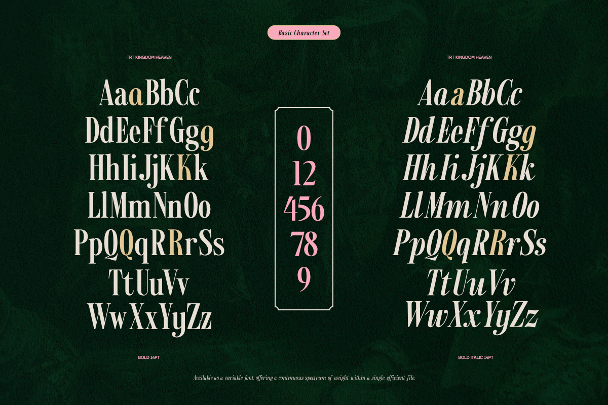 TRT Kingdom Heaven Serif Family, a Serif Font by truetype (Photo 5 of 15)