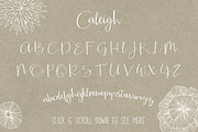 Caleigh Script Font with Bonus, a Script Font by Seven Seas Design Co. (Thumbnail 2 of 6)