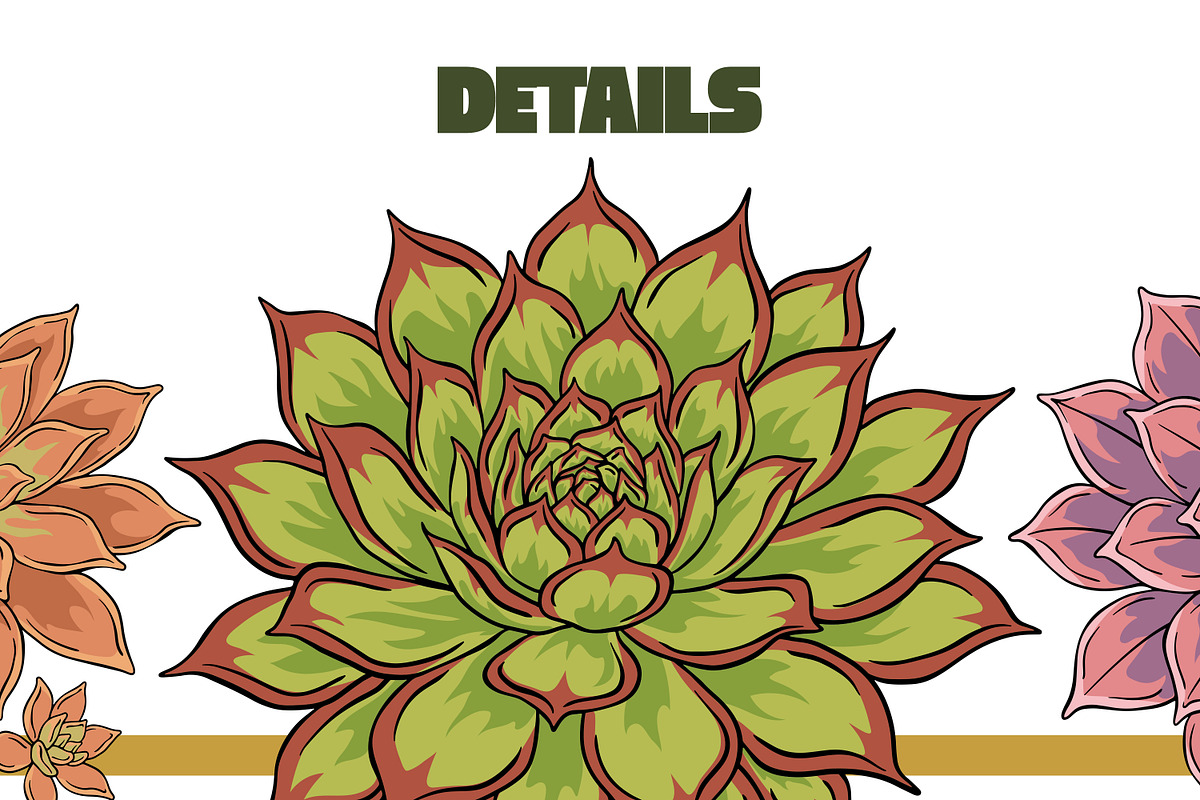 Succulent Illustration Pack, an Illustration by Tekuni (Photo 9 of 13)