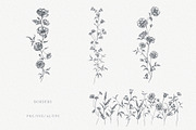 Line Art Flowers vector collection, a Decorative Illustration by Sensual Art (Thumbnail 4 of 10)