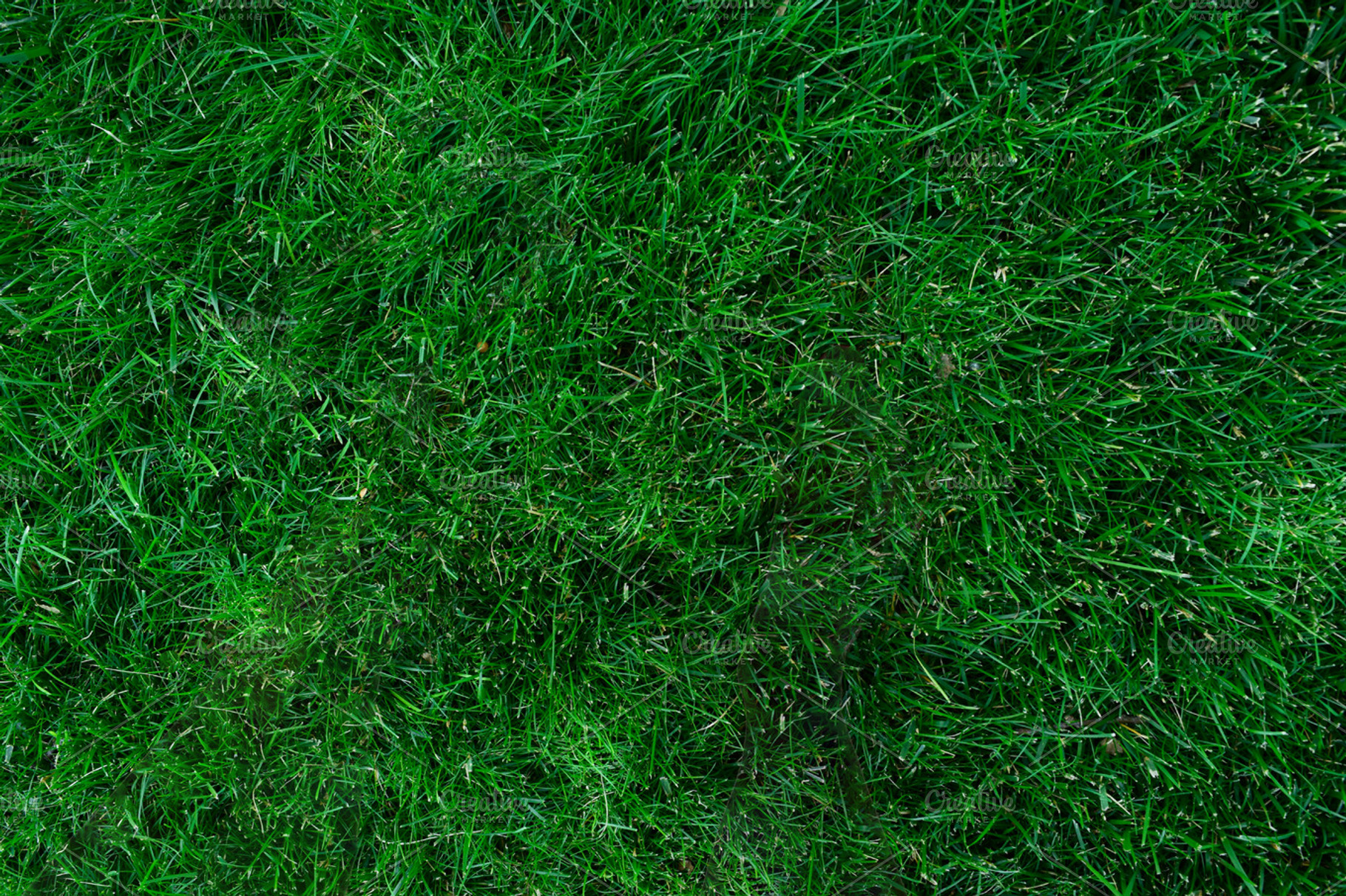 Soft grass containing grass, background, and lawn, an Abstract Photo by Suzo Images