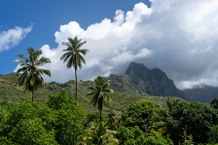 Mount Temetiu near Atuona, Hiva Oa, French Polynesia, Marquesas, a Nature Photo by GoodGoods
