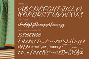 Bartely Cactus Natural Handwritten, a Script Font by stylishtype.co (Thumbnail 18 of 20)
