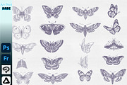 Photoshop Butterfly Stamp ClipStudio, a Brush Add-On by ArtPrintBabe (Thumbnail 2 of 6)