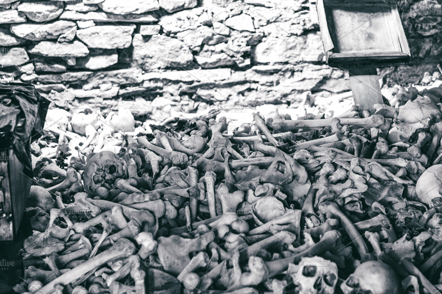 Human bones containing skull, skulls, and white, a Health & Medical Photo by rtyc