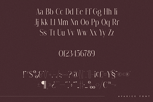 Avarice - Serif Typeface 4 Fonts