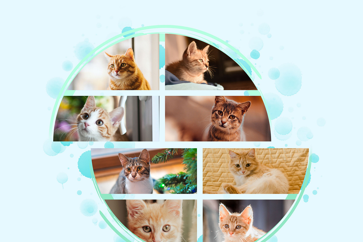 Collage Photo Frame Design Bundle, a Print Template by MRI STUDIO (Photo 3 of 52)