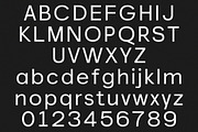 Akmorn Grotesque | Intro 60% OFF, a Sans Serif Font by Lettertype Studio (Thumbnail 10 of 15)