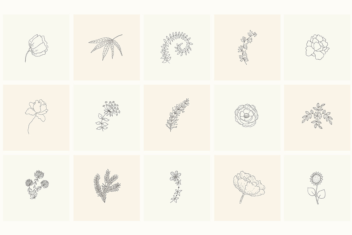 Hand Drawn Floral Elements. Frames, a Seasonal Illustration by Designwork (Photo 10 of 22)