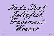 Leech TM – Romantic Script, a Script Font by Type Mania (Thumbnail 7 of 10)