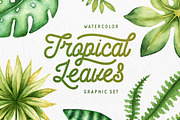 Watercolor Tropical Leaves, a Decorative Illustration by Chelovector (Thumbnail 1 of 5)