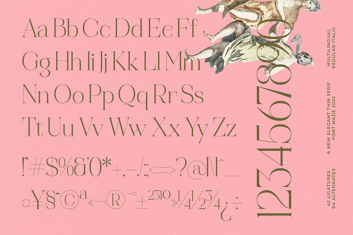 Reaons | Elegant Thin Serif Font, a Serif Font by timelesstype.co (Photo 15 of 15)