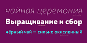 Quat, a Sans Serif Font by Ani Dimitrova (Thumbnail 6 of 15)