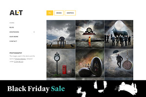 Alternate - Portfolio WP Theme