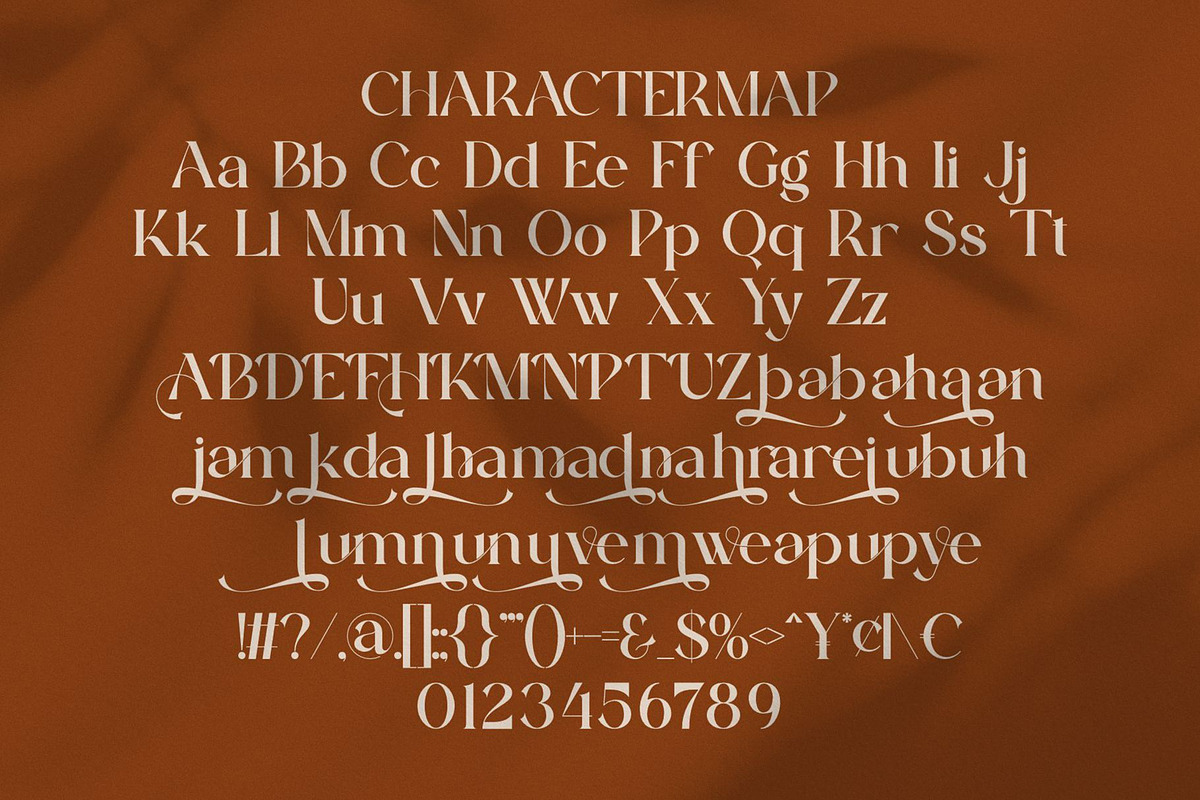 Haidan || Moden Classy Serif Font, a Serif Font by Ermedia Studio (Photo 10 of 10)