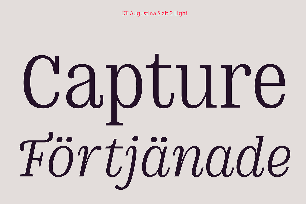 DT Augustina Slab 2 Subfamily, a Slab Serif Font by Deveze Type Foundry (Photo 5 of 30)