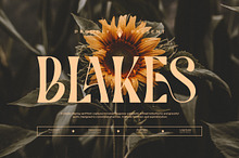 Blakes || Vintage Condensed Serif