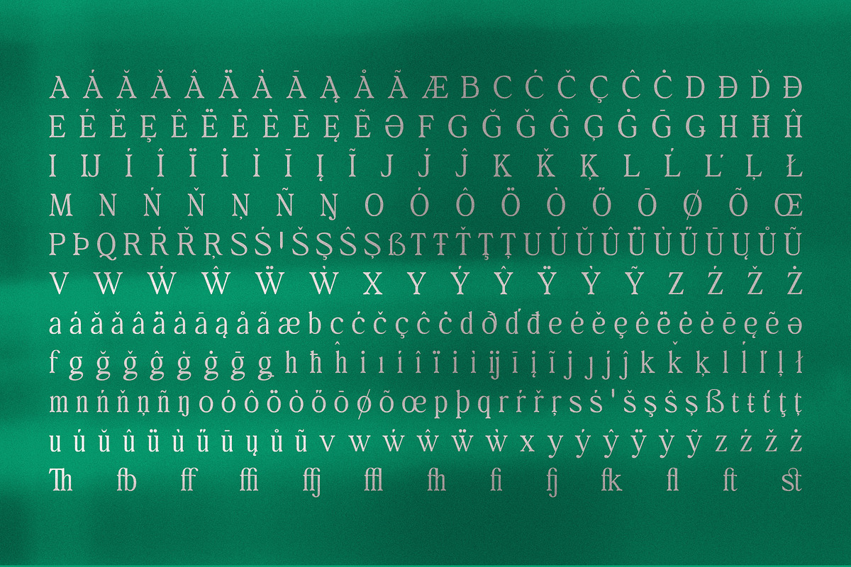 Behind The Nineties 12 Fonts + VFs, a Serif Font by Casloop Studio (Photo 16 of 18)