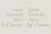 Aveline, Soft Serif with Ligatures, a Serif Font by CarmineType (Thumbnail 14 of 28)