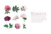 Pattern Peonies and Chrysanthemums, a Pattern Graphic by Yana Dobrik (Thumbnail 10 of 11)