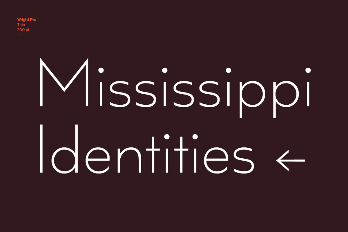 Wright - Family 50% off, a Sans Serif Font by Latinotype (Photo 7 of 15)