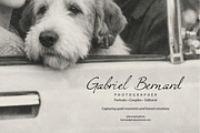Portrait de Paris Signature Font, a Script Font by gafaroff studio (Thumbnail 7 of 12)