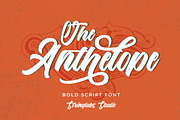 The Anthelope - Retro Script Font, a Script Font by StringLabs (Thumbnail 1 of 14)