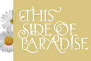 Hellen - Serif Font, a Serif Font by Genilson Santos (Thumbnail 9 of 21)