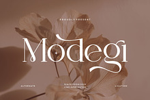 Modegi || Elegant Classy Serif Font