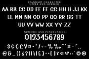 Bunk Bruch, a Script Font by FreshTypeINK (Thumbnail 5 of 8)