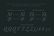 Edgethorn Italic Serif Font, a Serif Font by Up Up Creative (Thumbnail 17 of 17)