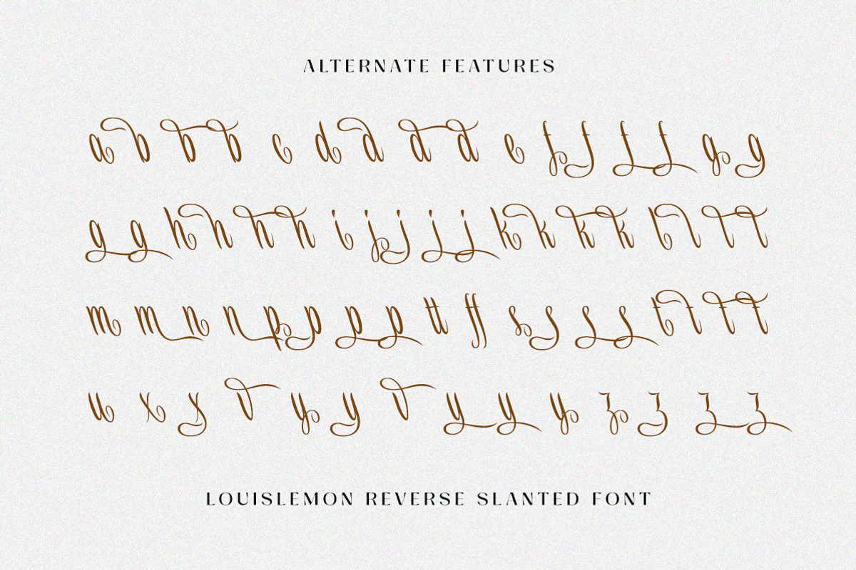 Louislemon - Reverse Slanted Display, a Script Font by Letterhend Studio (Photo 10 of 11)