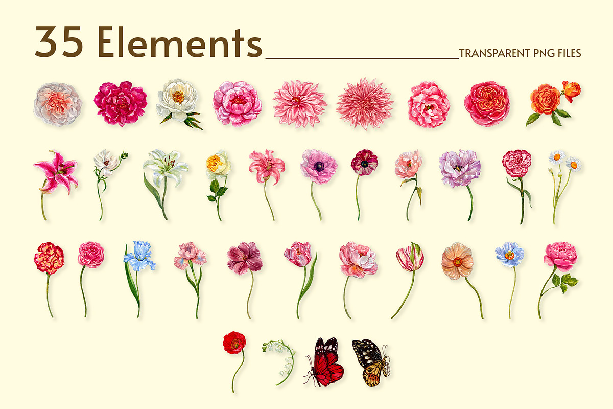 Botanical European Flower Watercolor, an Object Illustration by CreativeValuation (Photo 2 of 13)