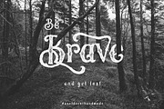Whole Store Bundle | 95 OFF, a Serif Font by Swistblnk Std. (Thumbnail 51 of 60)