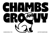 Chambs - Bold Font, a Sans Serif Font by limitype (Thumbnail 1 of 12)