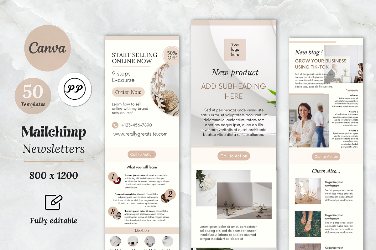 Email Newsletter Template Mailchimp, an Email Template by PittaFinePrint