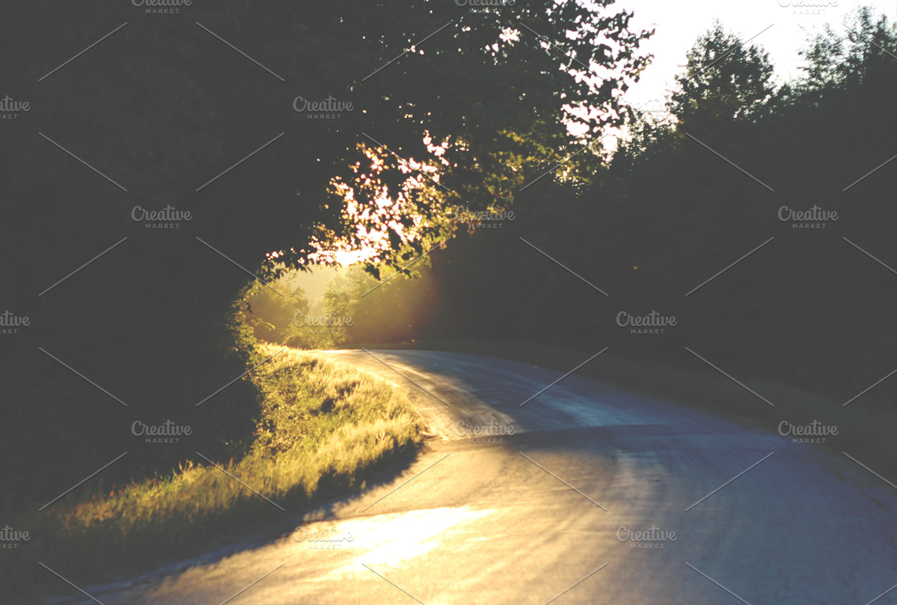 Follow The Light