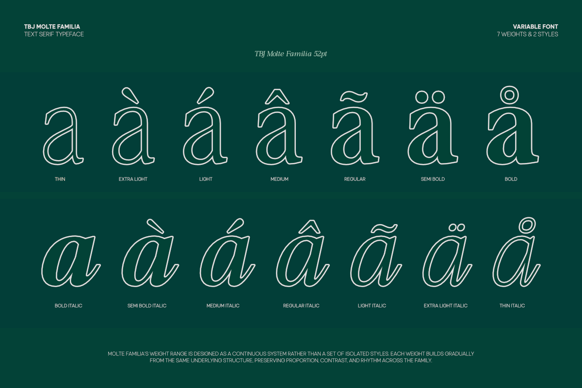 TBJ Moltefamilia Serif italic, a Serif Font by Taboja Studio (Photo 6 of 15)