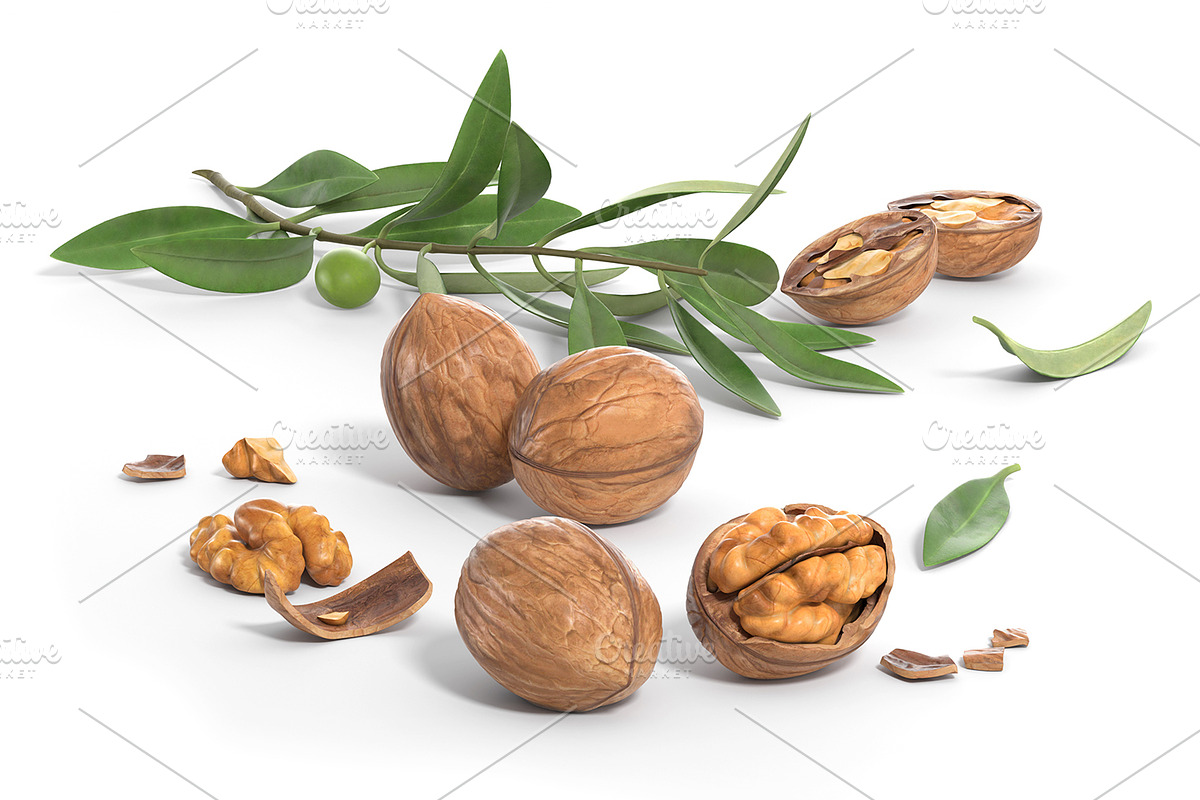 Shelled and cracked walnuts close-up, a Food Illustration by ThreeDiCube