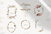 Magic Flowers - watercolor collectio, an Object Graphic by Julia M. Watercolor (Thumbnail 7 of 14)