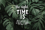 Lettering Grids Stamp Brushes, a Brush Add-On by Julia_Raketic (Thumbnail 2 of 7)