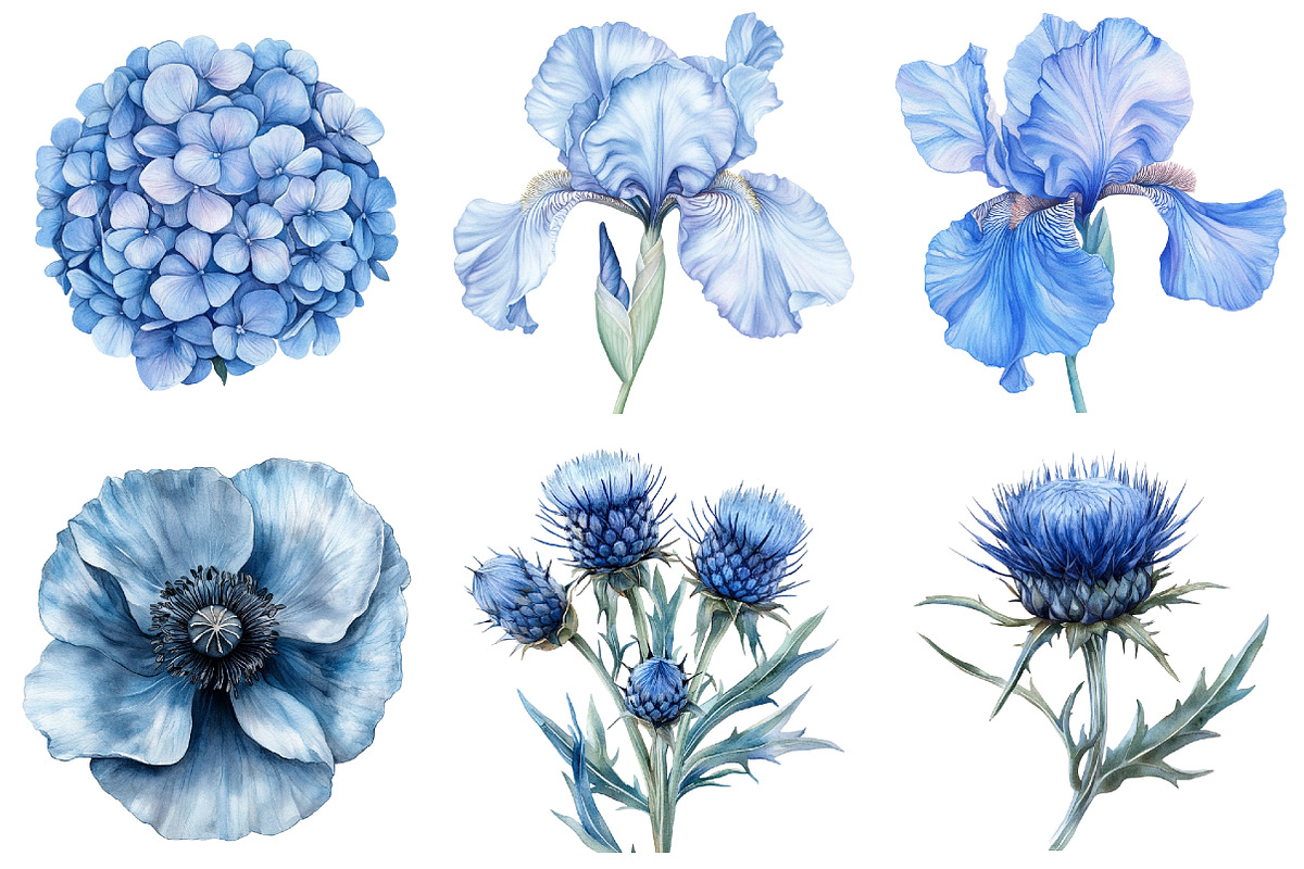 Dusty blue watercolor floral clipart, an Illustration by Watercolor design (Photo 4 of 5)
