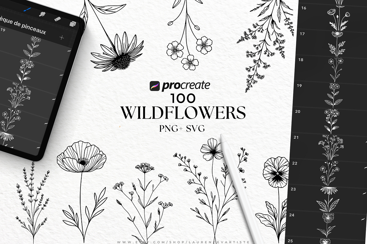 2000+ Procreate Stamps Bundle, a Brushes & More by LaurenceVArtiste (Photo 5 of 8)