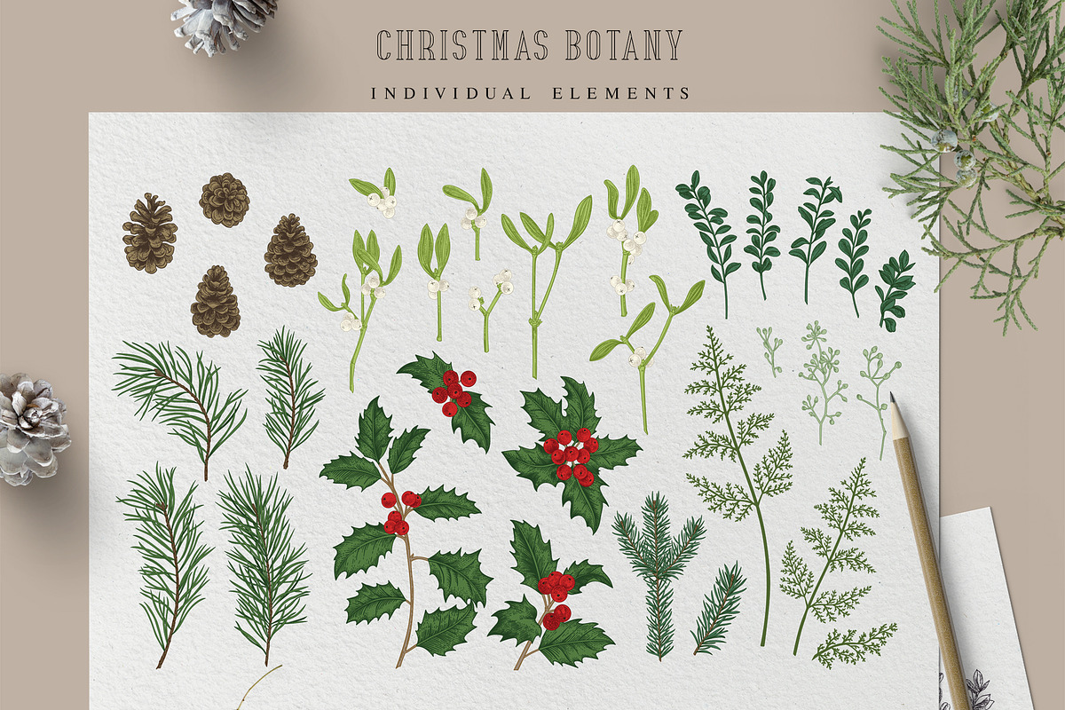 Christmas botany, a Card Template by Lisla (Photo 5 of 9)