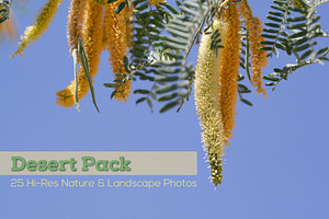 Desert Pack